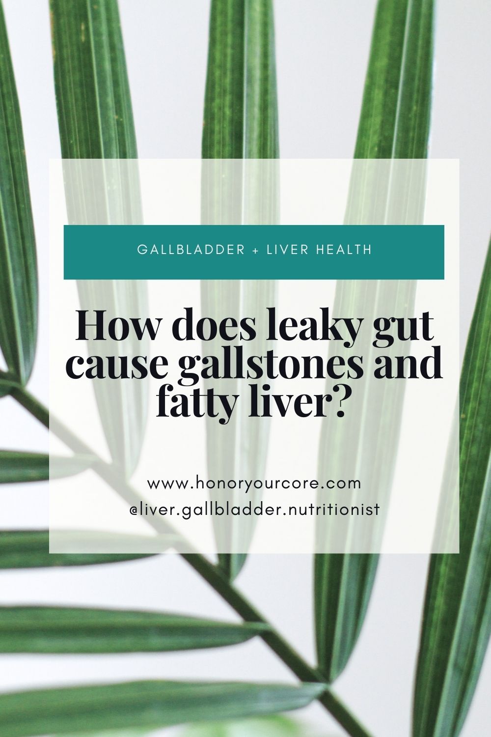 How does leaky gut cause gallstones and fatty liver?